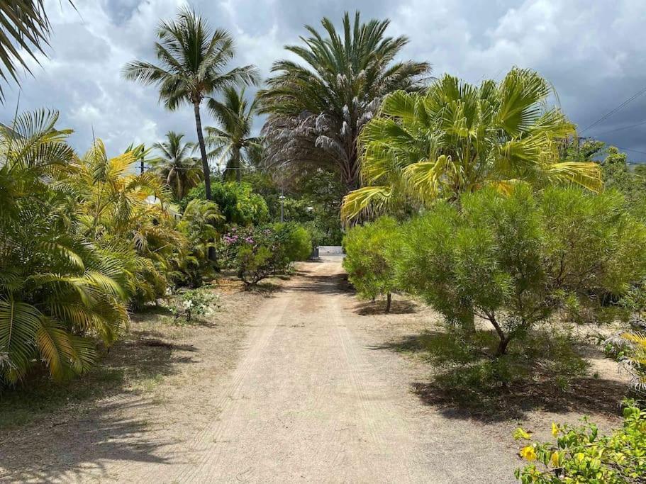 Villa Coco Des Sables Acces Direct Au Lagon La Saline Le Bains Εξωτερικό φωτογραφία
