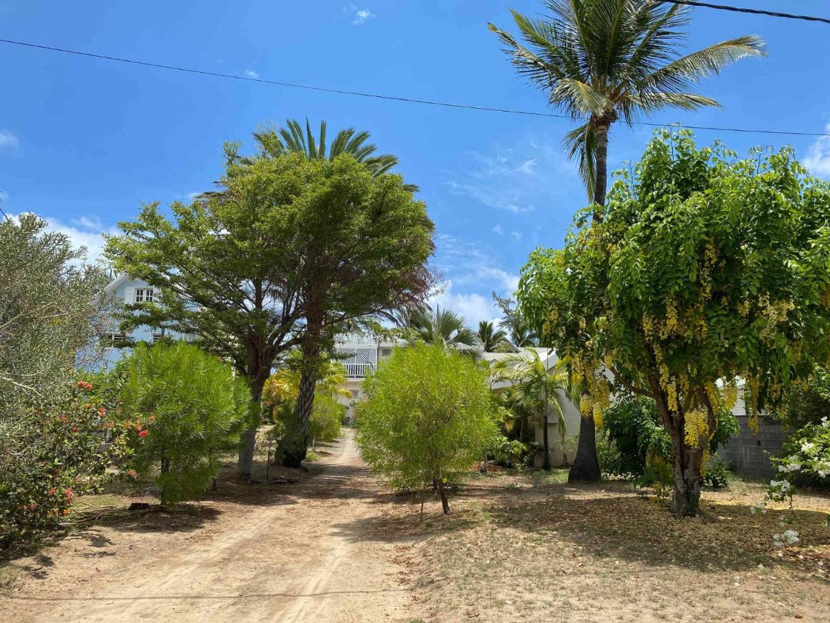 Villa Coco Des Sables Acces Direct Au Lagon La Saline Le Bains Εξωτερικό φωτογραφία